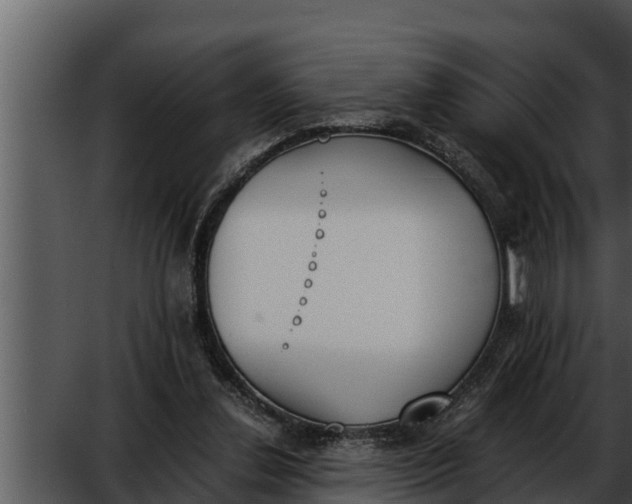 X0000052610252200507160045