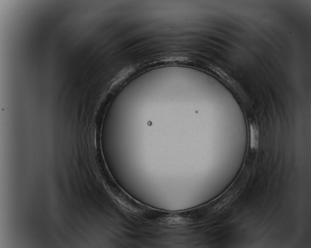 X0000052610253200507160045