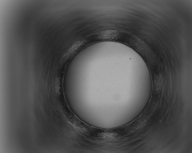 X0000052610255200507160045