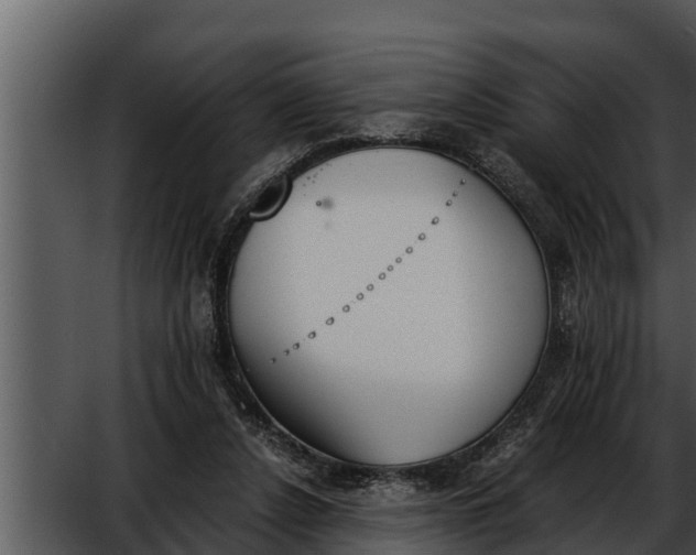 X0000052610256200507160045