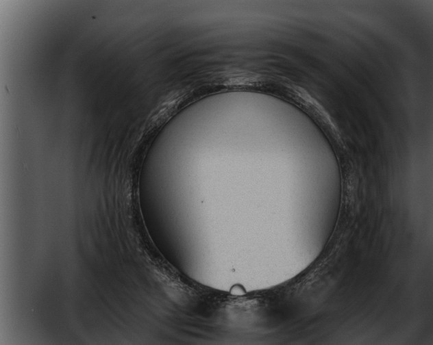 X0000052610257200507160045