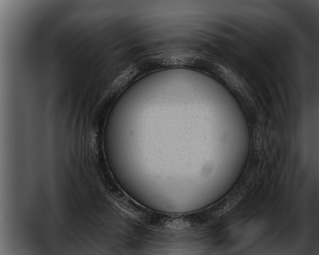 X0000052610258200507160045