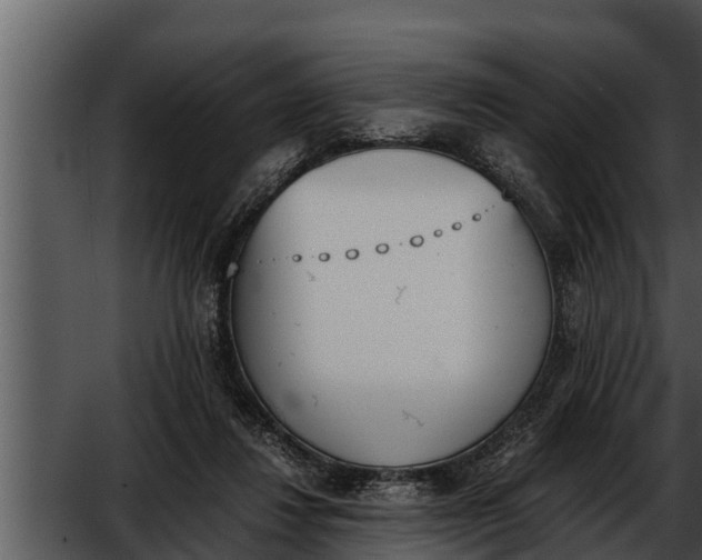 X0000052610260200507160045