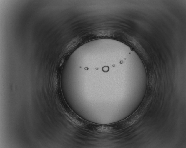 X0000052610261200507160045