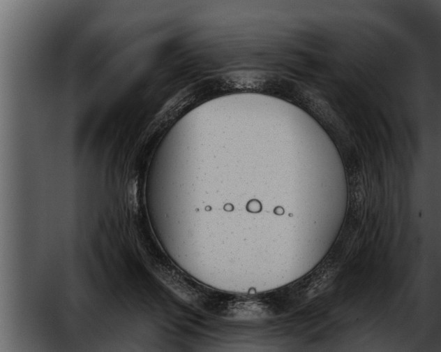 X0000052610262200507160045