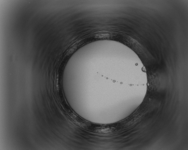 X0000052610267200507160045