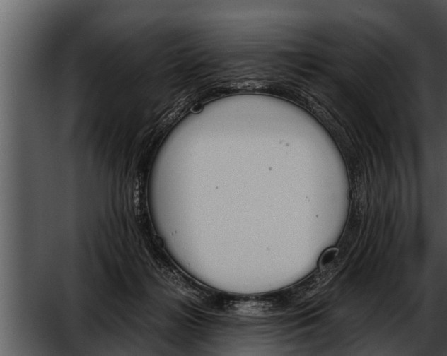 X0000052610268200507160045