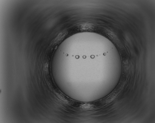 X0000052610269200507160045