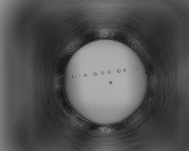 X0000052610272200507160045