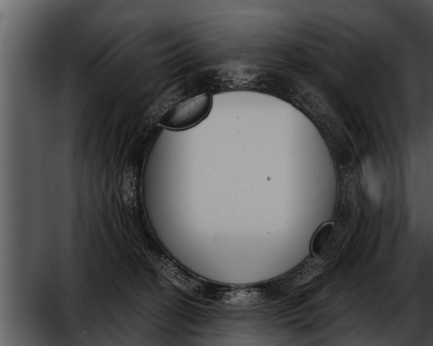 X0000052610274200507160045