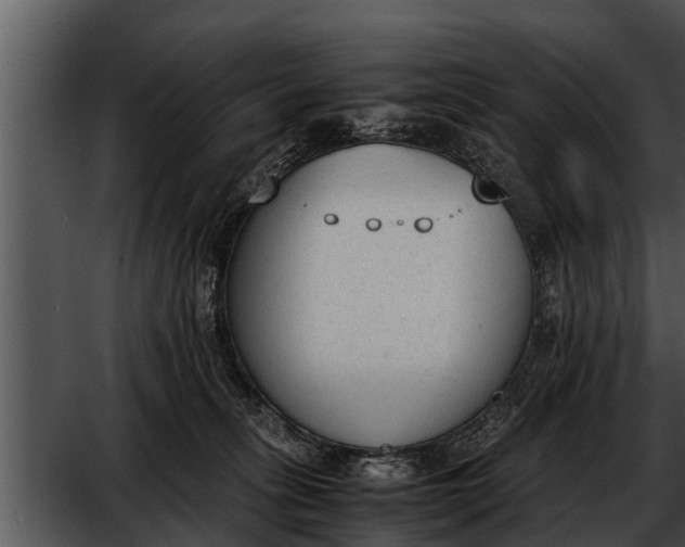 X0000052610275200507160045