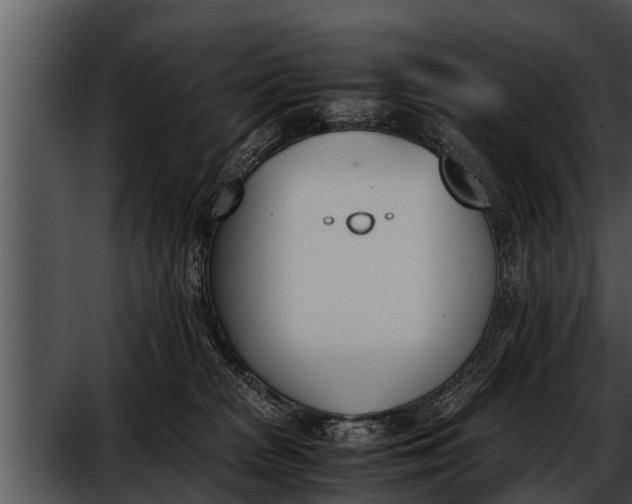 X0000052610277200507160045