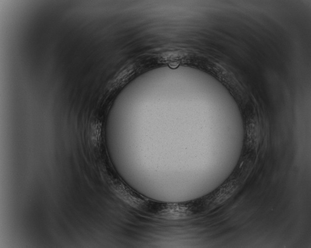 X0000052610278200507160045