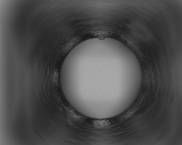 X0000052610281200507160045