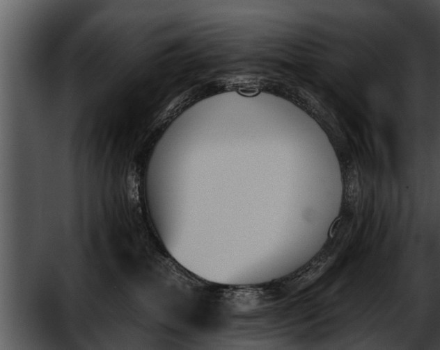 X0000052610282200507160045