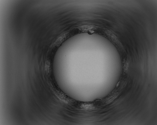 X0000052610283200507160045