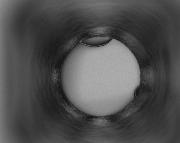 X0000052610284200507160045