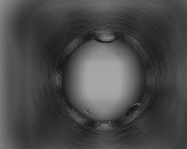 X0000052610285200507160045