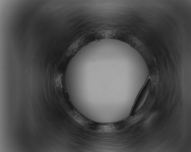 X0000052610286200507160045