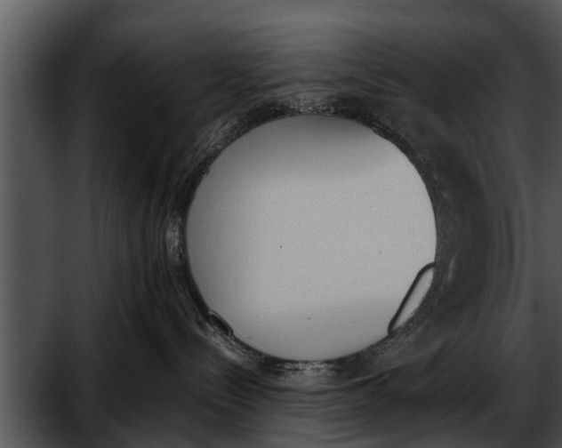 X0000052610288200507160045