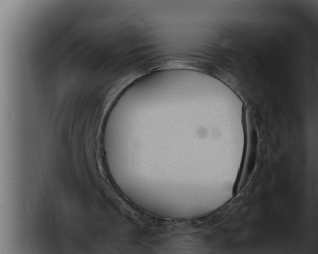 X0000052610289200507160045