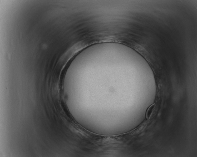 X0000052610290200507160044