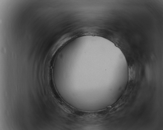 X0000052610291200507160044