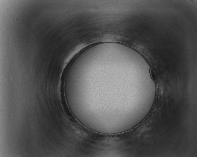 X0000052610292200507160044