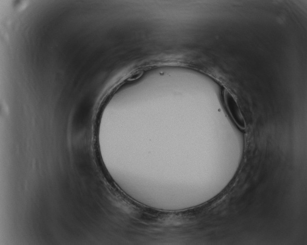 X0000052610293200507160044