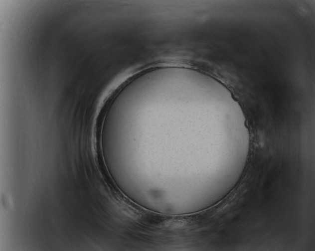 X0000052610294200507160044