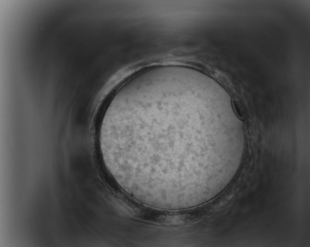 X0000052610295200507160044