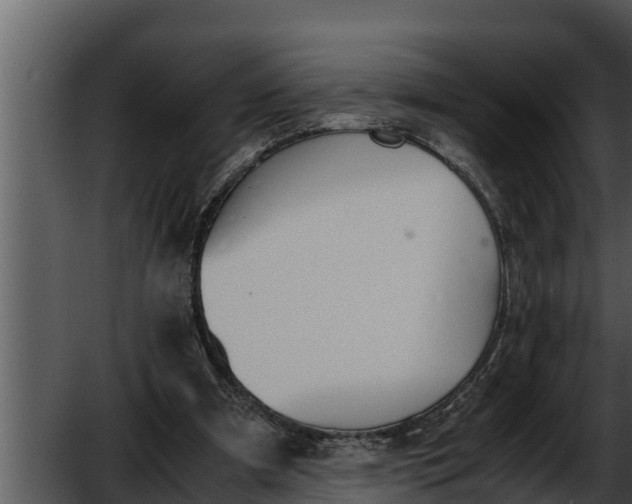 X0000052610297200507160044