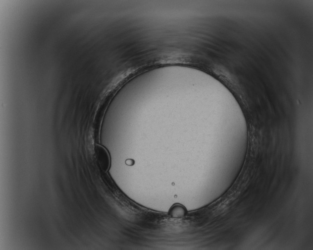 X0000052610298200507160044