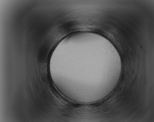 X0000052610299200507160044