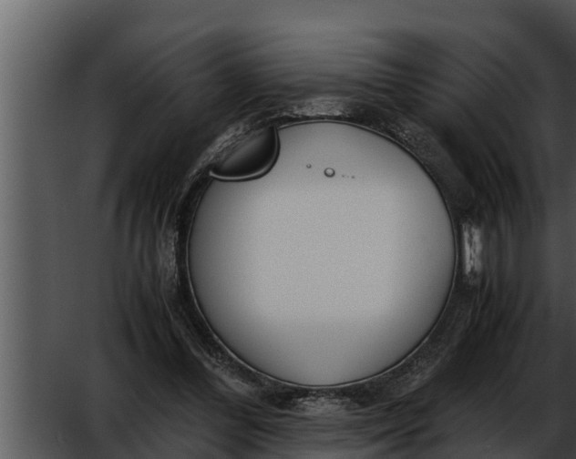 X0000052610300200507160044