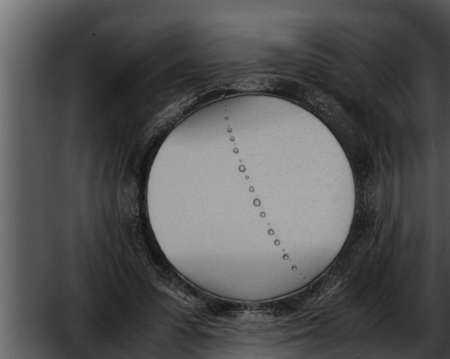 X0000052610303200507160044