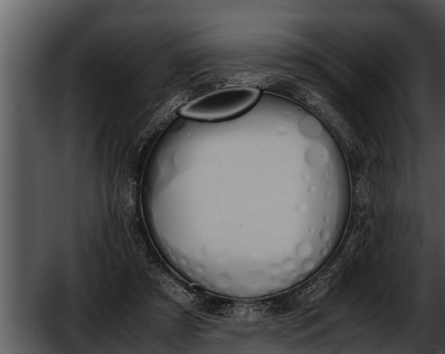 X0000052610305200507160044