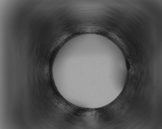 X0000052610306200507160044