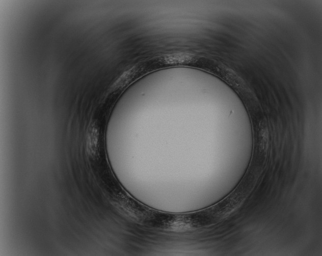 X0000052610308200507160044