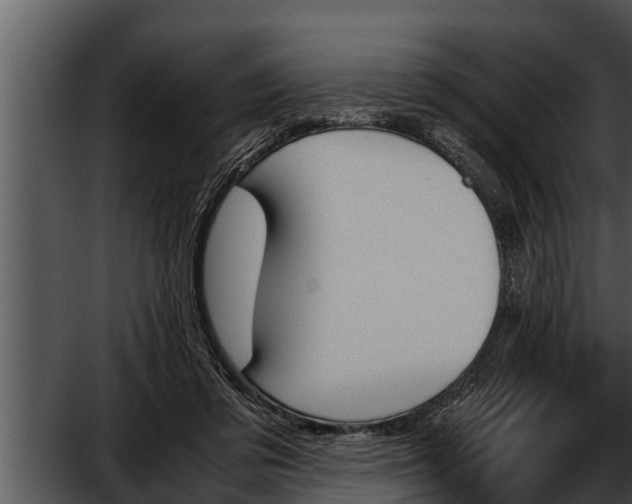 X0000052610309200507160044