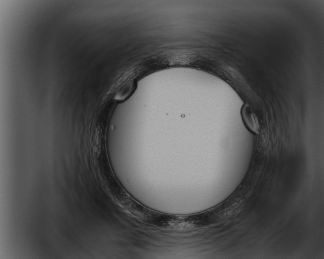 X0000052610311200507160044