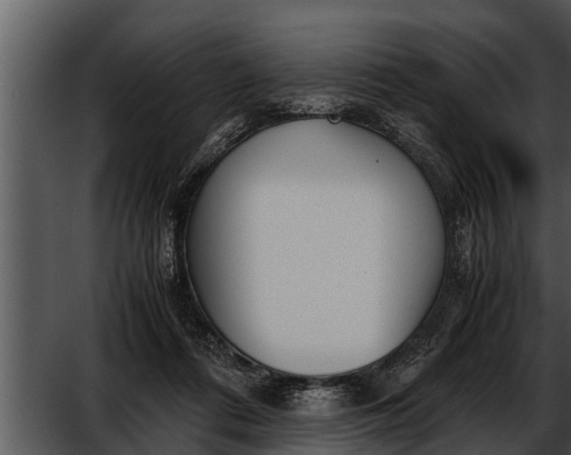 X0000052610312200507160044