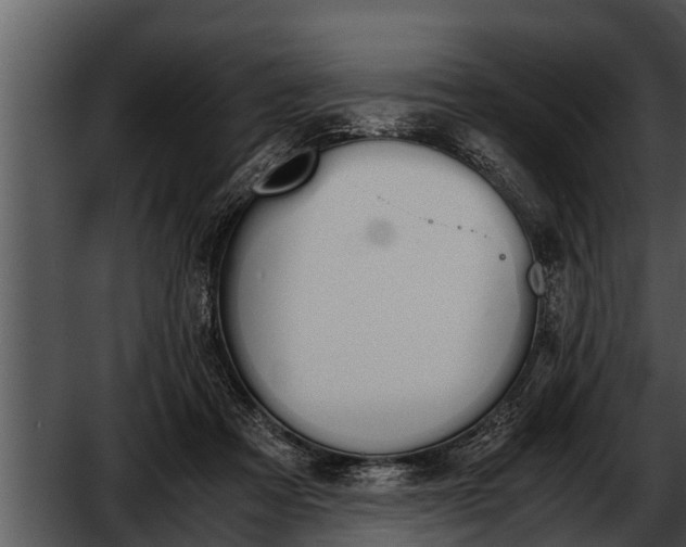 X0000052610313200507160044