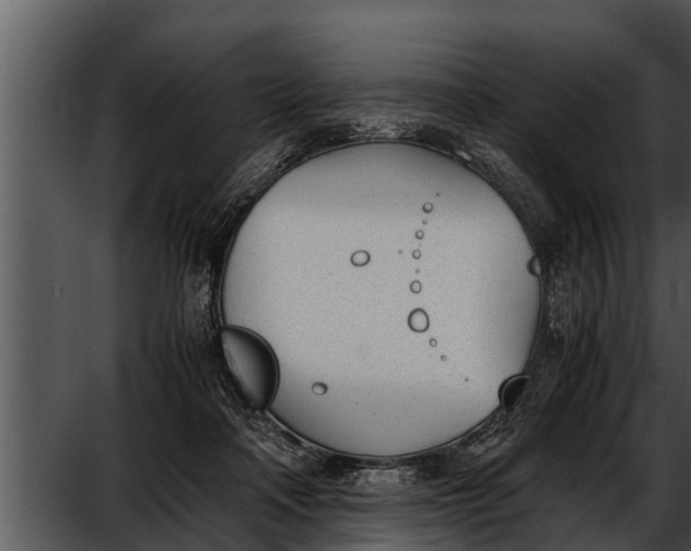 X0000052610314200507160044