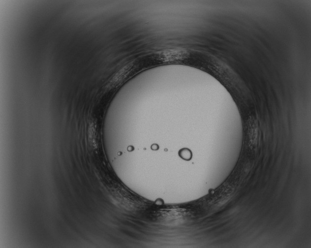 X0000052610316200507160044