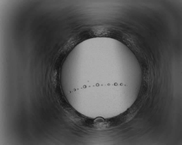 X0000052610319200507160044