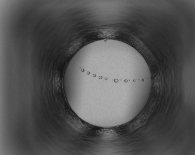 X0000052610322200507160044