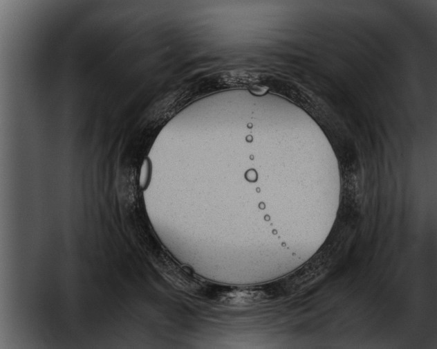 X0000052610323200507160044