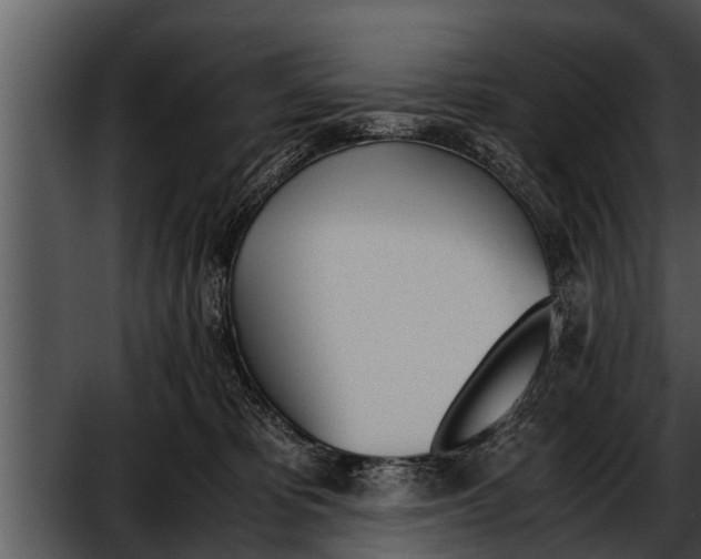 X0000052610325200507160044