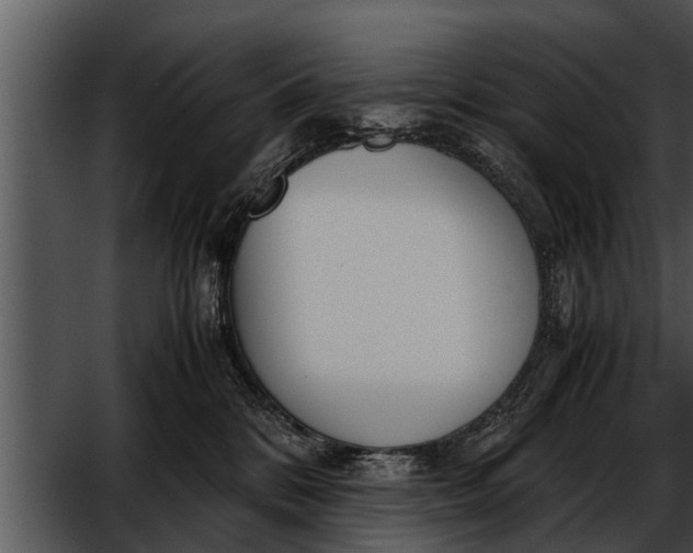 X0000052610328200507160044